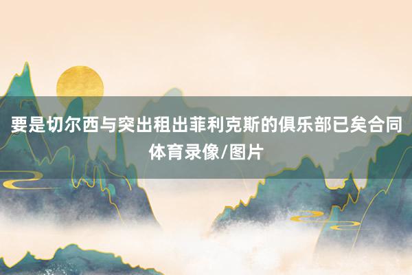 要是切尔西与突出租出菲利克斯的俱乐部已矣合同体育录像/图片