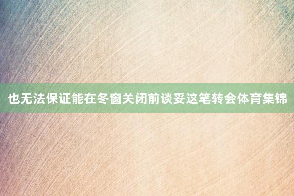 也无法保证能在冬窗关闭前谈妥这笔转会体育集锦