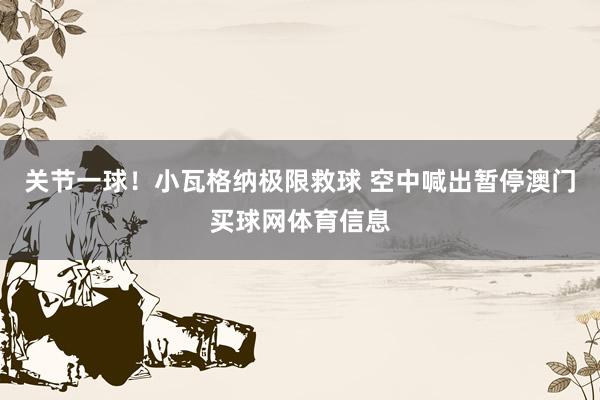 关节一球！小瓦格纳极限救球 空中喊出暂停澳门买球网体育信息