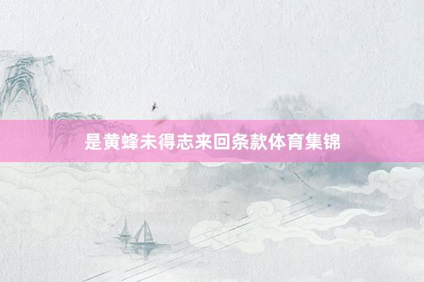 是黄蜂未得志来回条款体育集锦