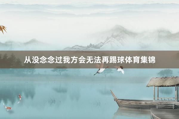 从没念念过我方会无法再踢球体育集锦