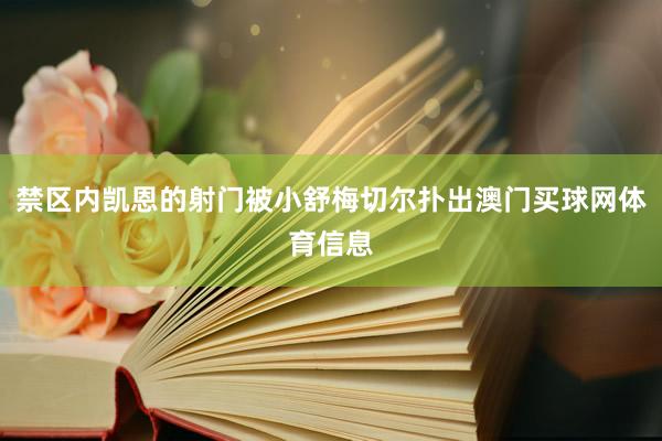 禁区内凯恩的射门被小舒梅切尔扑出澳门买球网体育信息