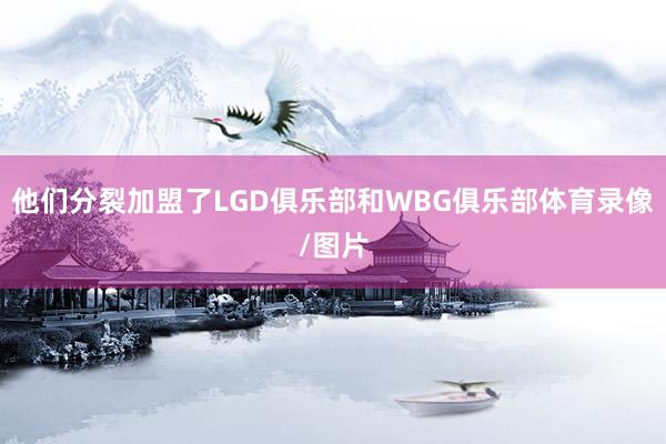 他们分裂加盟了LGD俱乐部和WBG俱乐部体育录像/图片