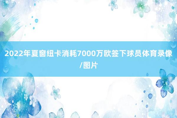 2022年夏窗纽卡消耗7000万欧签下球员体育录像/图片
