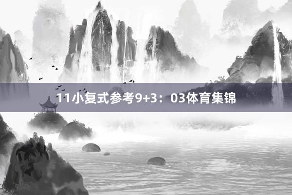 11　　小复式参考9+3：03体育集锦