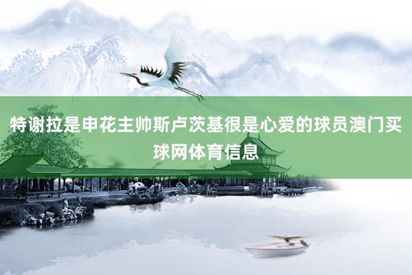 特谢拉是申花主帅斯卢茨基很是心爱的球员澳门买球网体育信息