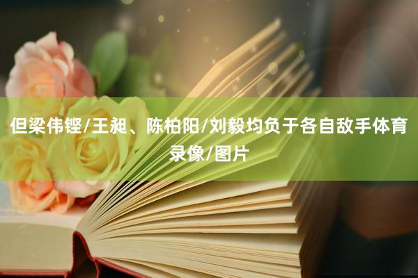 但梁伟铿/王昶、陈柏阳/刘毅均负于各自敌手体育录像/图片