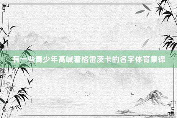 有一些青少年高喊着格雷茨卡的名字体育集锦