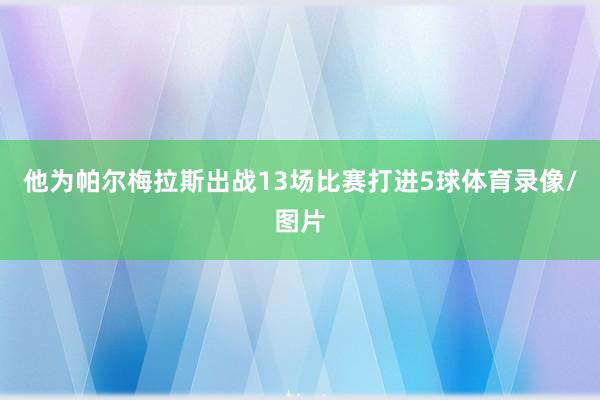 他为帕尔梅拉斯出战13场比赛打进5球体育录像/图片
