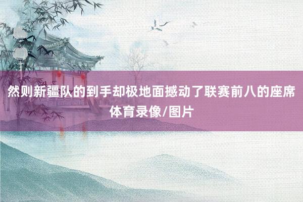 然则新疆队的到手却极地面撼动了联赛前八的座席体育录像/图片