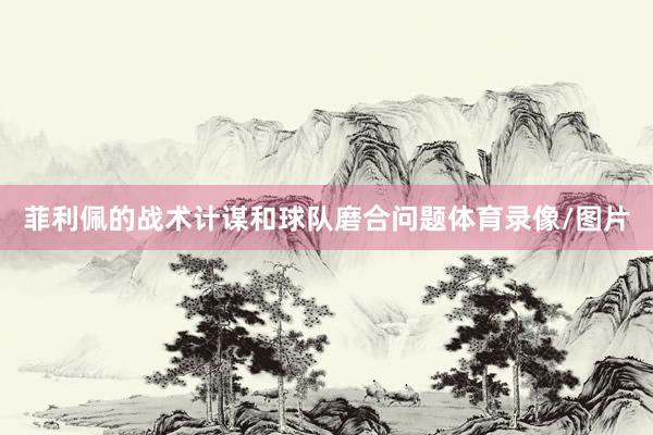 菲利佩的战术计谋和球队磨合问题体育录像/图片