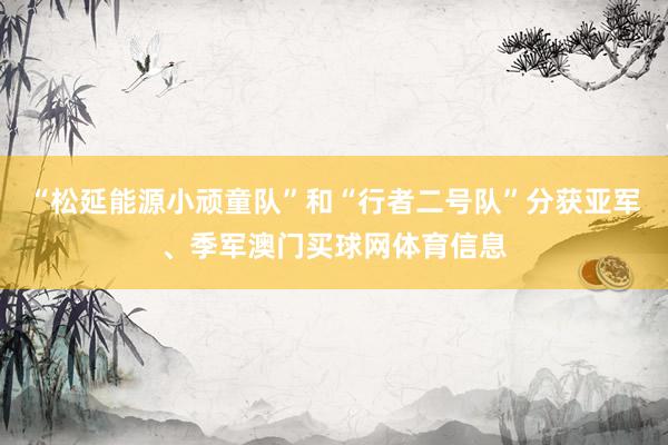 “松延能源小顽童队”和“行者二号队”分获亚军、季军澳门买球网体育信息