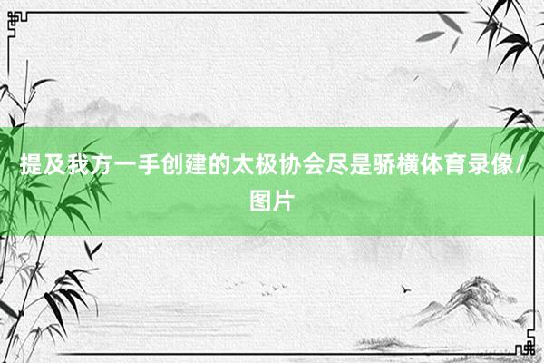 提及我方一手创建的太极协会尽是骄横体育录像/图片