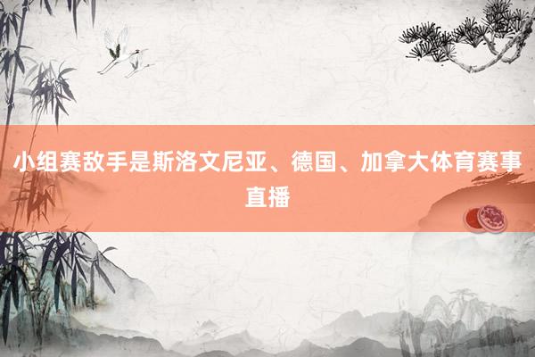 小组赛敌手是斯洛文尼亚、德国、加拿大体育赛事直播