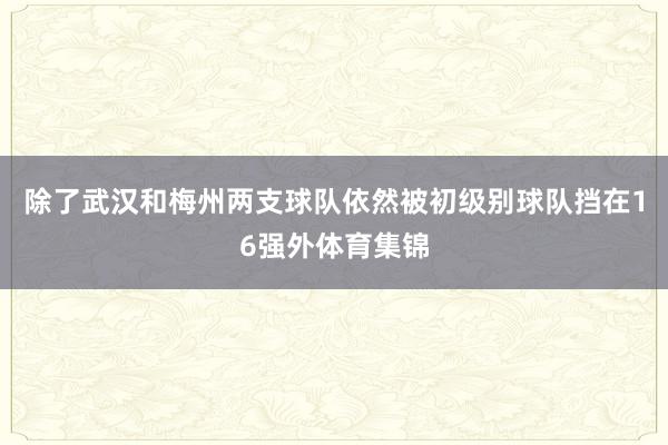 除了武汉和梅州两支球队依然被初级别球队挡在16强外体育集锦