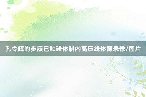 孔令辉的步履已触碰体制内高压线体育录像/图片