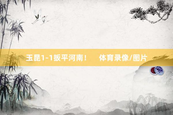 玉昆1-1扳平河南！    体育录像/图片