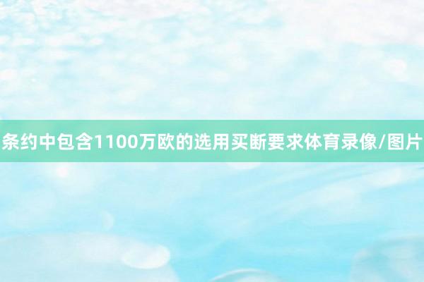 条约中包含1100万欧的选用买断要求体育录像/图片