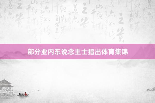 部分业内东说念主士指出体育集锦