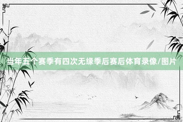当年五个赛季有四次无缘季后赛后体育录像/图片