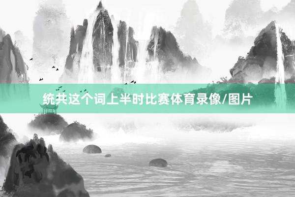 统共这个词上半时比赛体育录像/图片