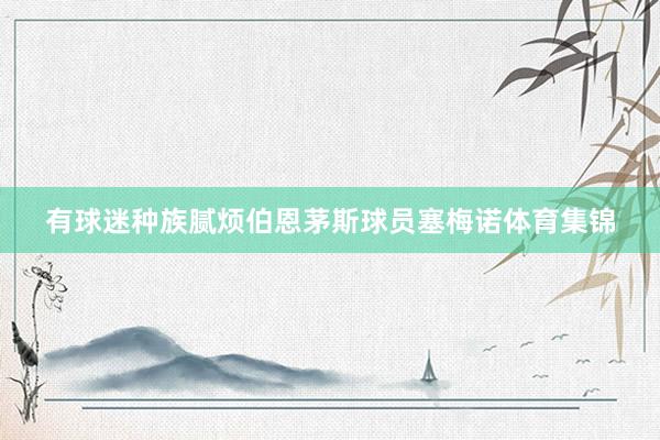 有球迷种族腻烦伯恩茅斯球员塞梅诺体育集锦