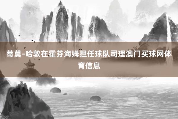 蒂莫-哈敦在霍芬海姆担任球队司理澳门买球网体育信息