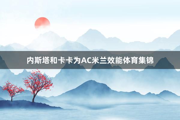 内斯塔和卡卡为AC米兰效能体育集锦