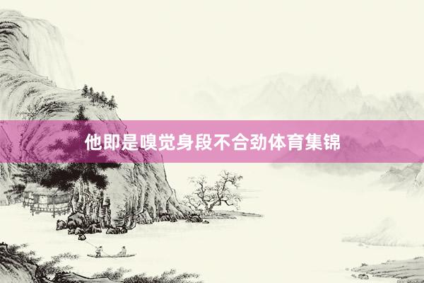 他即是嗅觉身段不合劲体育集锦