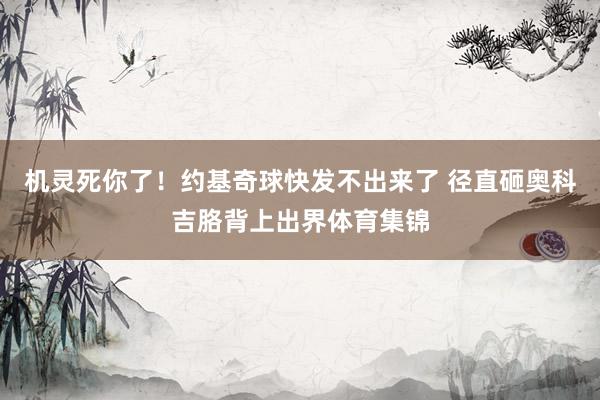 机灵死你了！约基奇球快发不出来了 径直砸奥科吉胳背上出界体育集锦