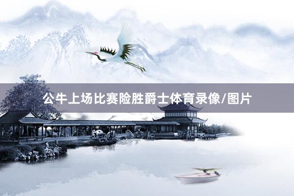 公牛上场比赛险胜爵士体育录像/图片