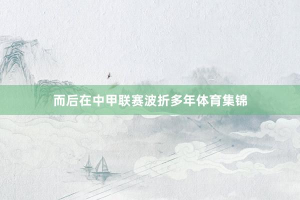 而后在中甲联赛波折多年体育集锦