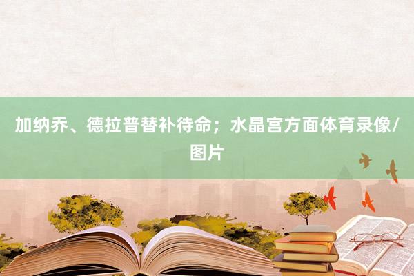 加纳乔、德拉普替补待命;水晶宫方面体育录像/图片