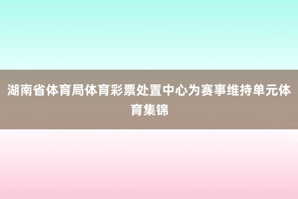 湖南省体育局体育彩票处置中心为赛事维持单元体育集锦