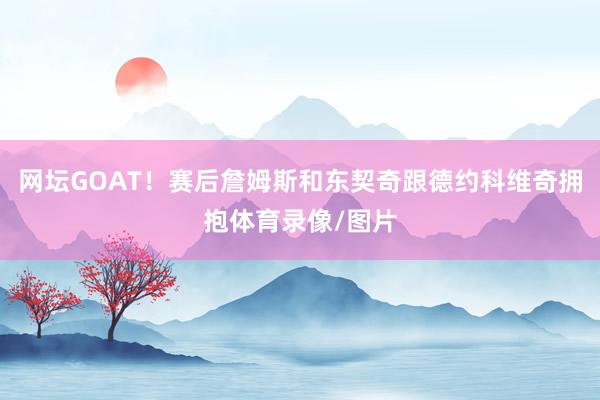 网坛GOAT！赛后詹姆斯和东契奇跟德约科维奇拥抱体育录像/图片