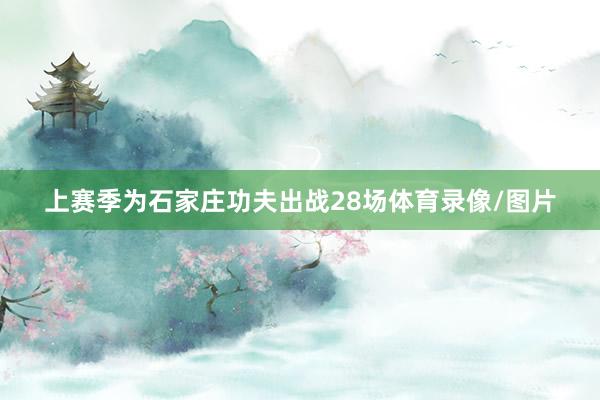 上赛季为石家庄功夫出战28场体育录像/图片