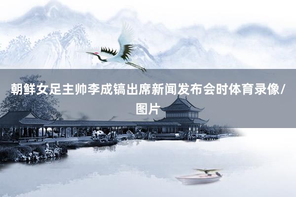 朝鲜女足主帅李成镐出席新闻发布会时体育录像/图片