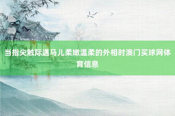 当指尖触际遇马儿柔嫩温柔的外相时澳门买球网体育信息