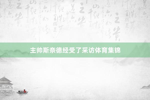 主帅斯奈德经受了采访体育集锦