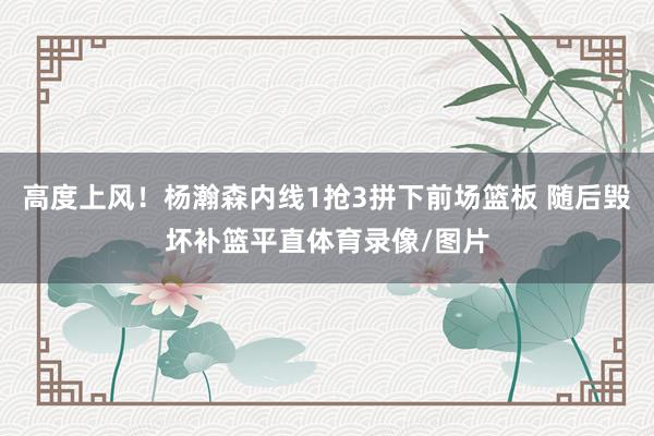 高度上风！杨瀚森内线1抢3拼下前场篮板 随后毁坏补篮平直体育录像/图片