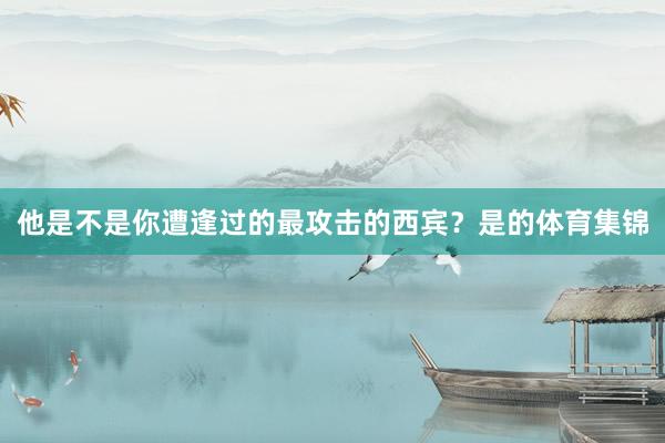 他是不是你遭逢过的最攻击的西宾？是的体育集锦