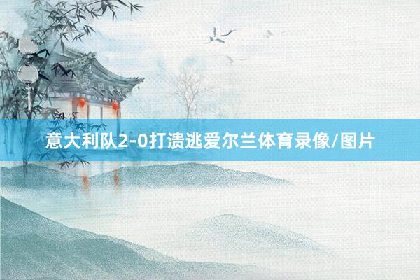 意大利队2-0打溃逃爱尔兰体育录像/图片