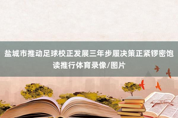 盐城市推动足球校正发展三年步履决策正紧锣密饱读推行体育录像/图片