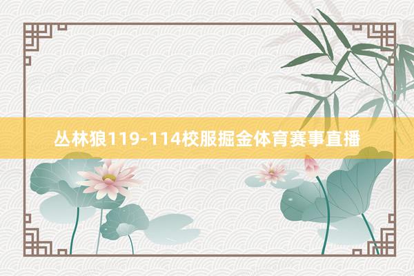 丛林狼119-114校服掘金体育赛事直播