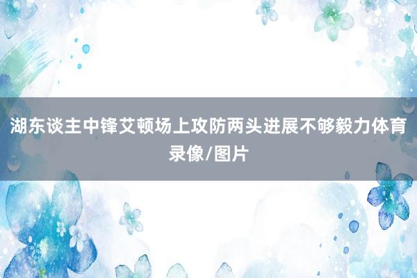 湖东谈主中锋艾顿场上攻防两头进展不够毅力体育录像/图片
