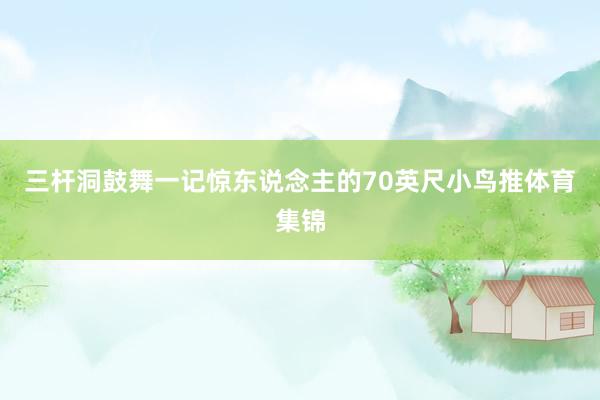 三杆洞鼓舞一记惊东说念主的70英尺小鸟推体育集锦