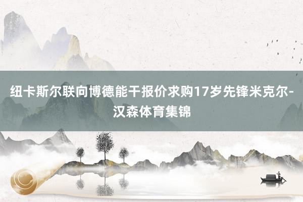 纽卡斯尔联向博德能干报价求购17岁先锋米克尔-汉森体育集锦