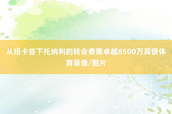 从纽卡签下托纳利的转会费需卓越8500万英镑体育录像/图片
