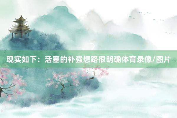 现实如下：活塞的补强想路很明确体育录像/图片